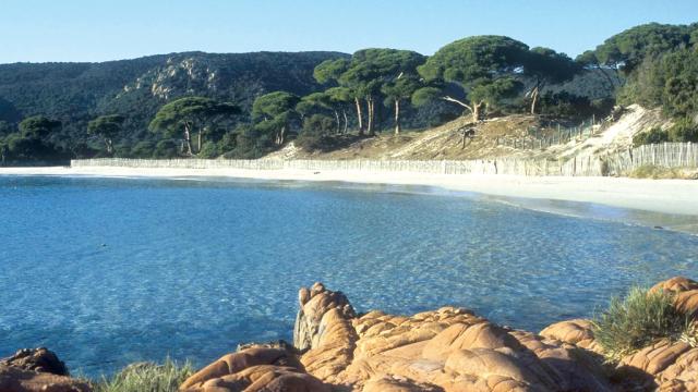 Corsedusud Palombaggia Balade Portovecchio.jpg