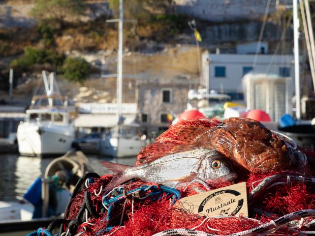 Produit Local Poisson 2