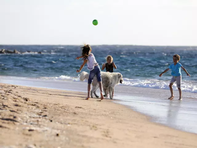 Enfants Jeu Plage Tonnara Bonifacio