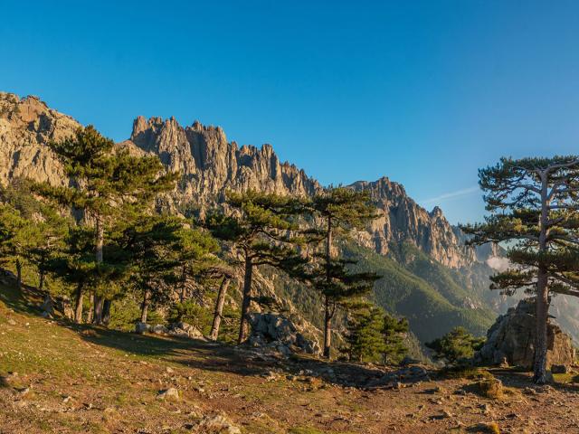 Col de Bavella, Aiguilles de Bavella, Porto Vecchio, 20, Corse-du-sud, France, Europe //Europe,  France, Corse-du-sud, 20, Porto Vecchio, Bavella summit, Bavella pass