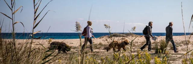 Balade Hiver Seniors Plage Testa Bonifacio