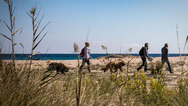 Balade Hiver Seniors Plage Testa Bonifacio