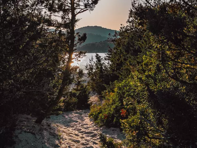 Chemin Maquis Sable Plage Rondinara Bonifacio