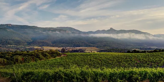 Clos Canarelli Vignoble Figari Sud Corse