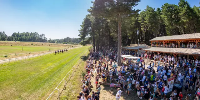 Hippodrome Viseo Zonza Sud Corse