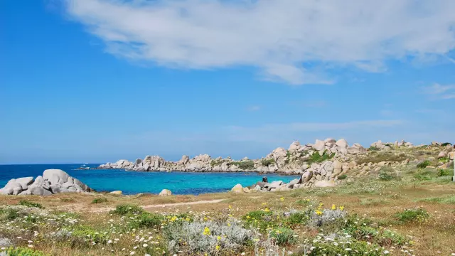 Ile Lavezzu Vegetation Bonifacio