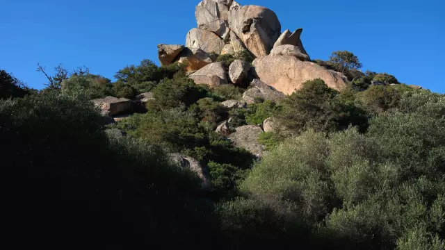 Paysage Trinite Maquis Bonifacio