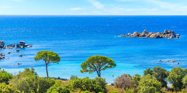 Plage Palombaggia Folacca Porto Vecchio Sud Corse