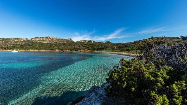 Plage Paragan Vegetation Bonifacio