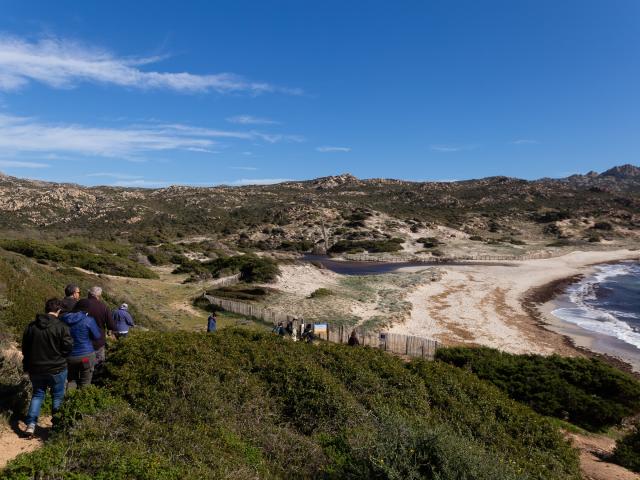 Plage Stagnolu Visiteurs Bonifacio