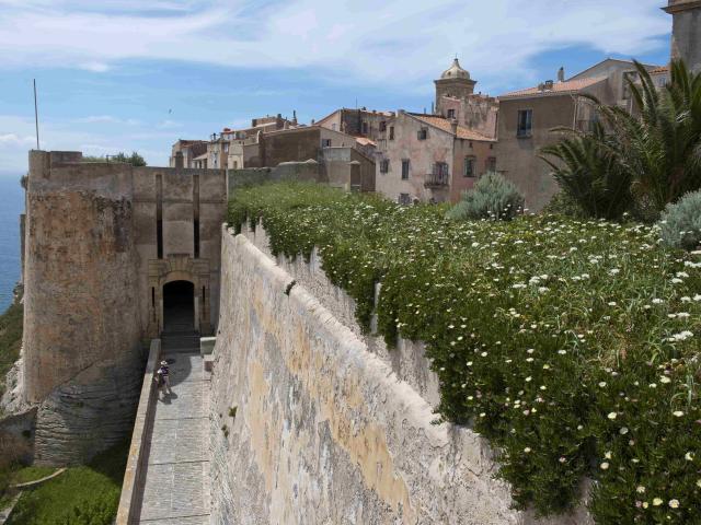 Bastion Etendard Montee Saint Roch Vegetation Bonifacio