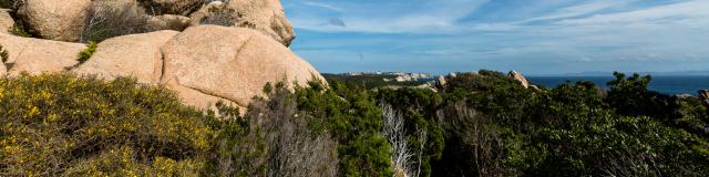 Campagne Piali Nature Rocher Citadelle Arriere Plan Bonifacio