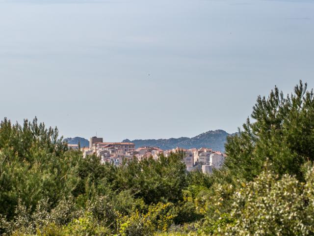 Citadelle Piali Nature Vegetation Bonifacio