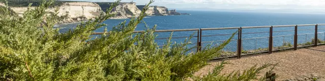 Esplanade Bastion Etendard Zoom Vegetation Falaises Sardaigne Bonifacio