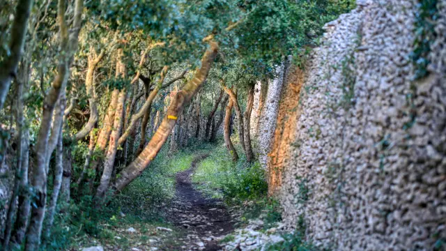 Mur Bonifacien Pierre Seche Tramizi Chemin Campagne Bonifacio