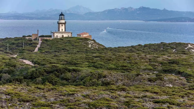 Phare Pertusatu Vegetation Vue Sardaigne Bonifacio