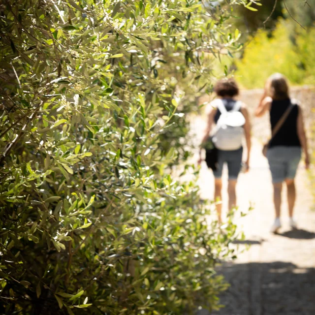 Balade Nature Sentier Femmes Bonifacio
