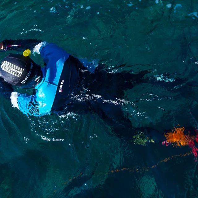 Snorkeling Sur Lile Lavezzu Sejour Bonifacio