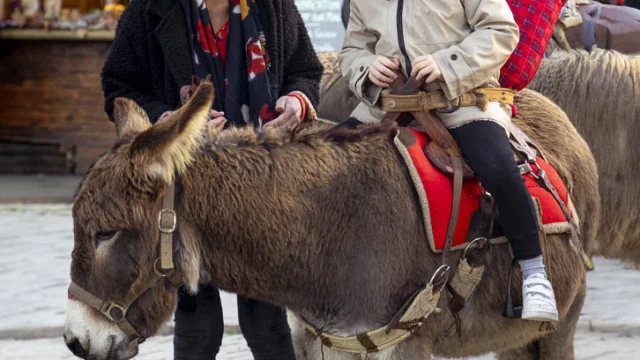 Balade Ane Natali In Bunifazziu Marche Noel Bonifacio